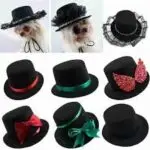 Hat to Rent or Buy